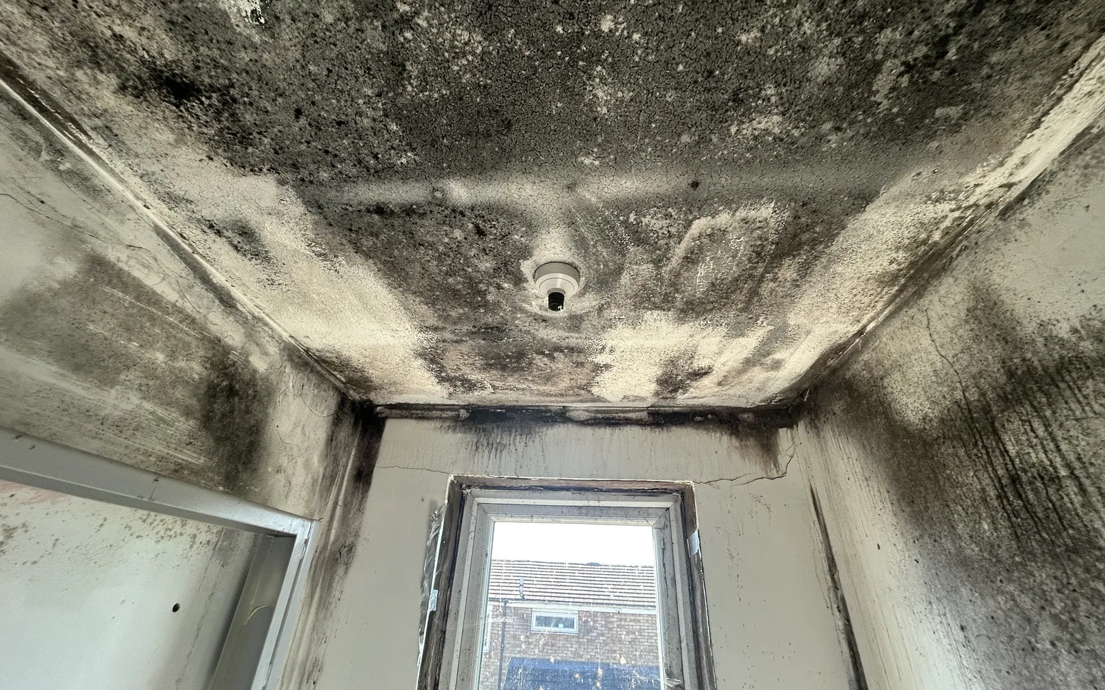 Mould growth in an internal corner requiring investigation