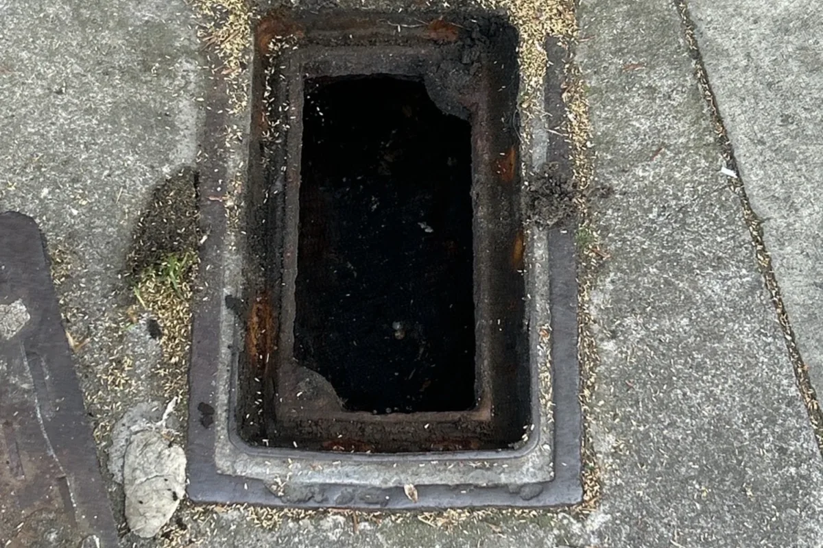 Leak, Drainage & External Defect Investigation