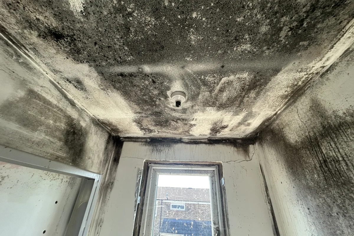 Condensation & Ventilation Assessment